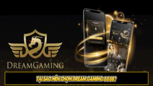 Tại sao nên chọn Dream Gaming 888b?